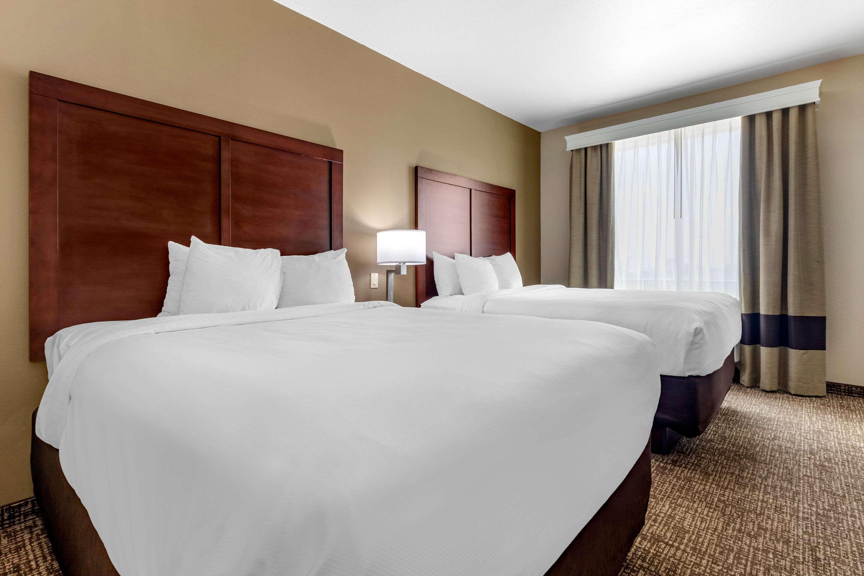 Comfort Inn & Suites Near Lake Lewisville Corinth Exteriér fotografie