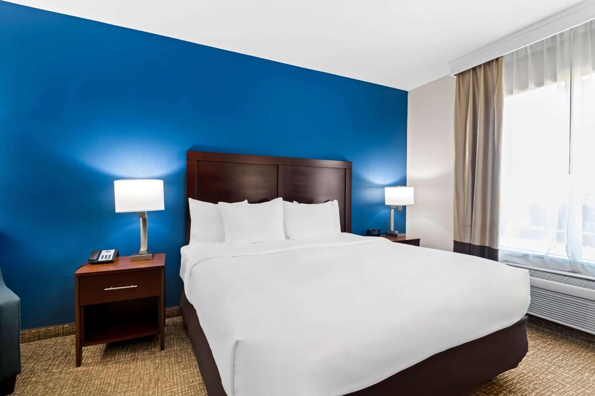 Comfort Inn & Suites Near Lake Lewisville Corinth Exteriér fotografie